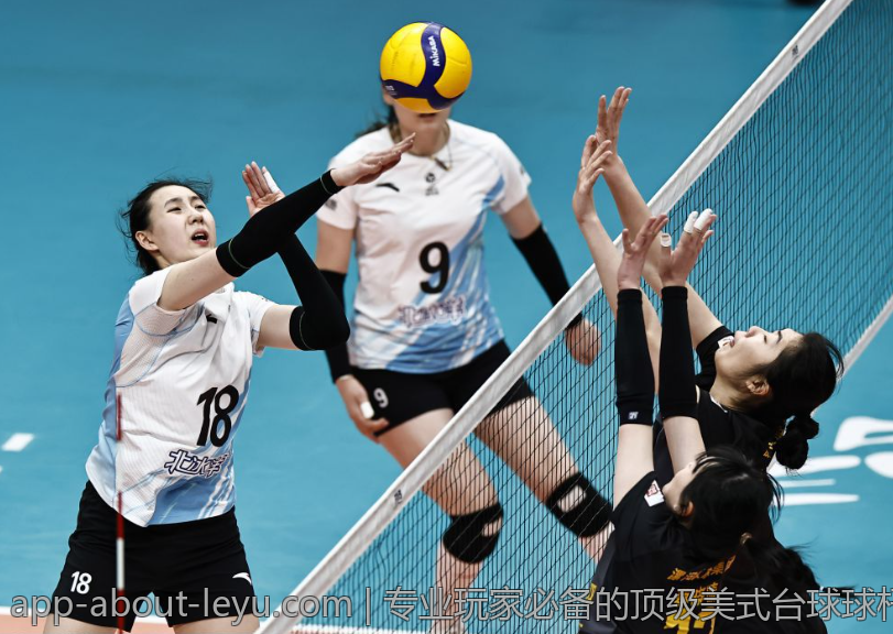 专业玩家必备的顶级美式台球球杆品牌介绍