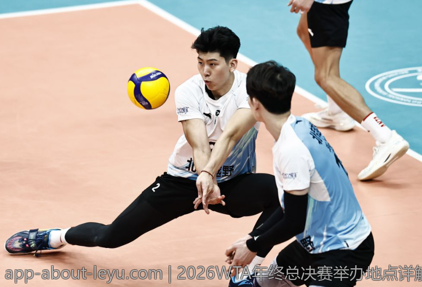 2026WTA年终总决赛举办地点详解与最新动态